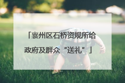 襄州区石桥资规所给政府及群众“送礼”