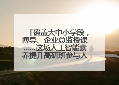 覆盖大中小学段，博导、企业总监授课……这场人工智能素养提升高研班参与人次达30万
