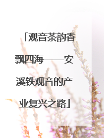 观音茶韵香飘四海——安溪铁观音的产业复兴之路