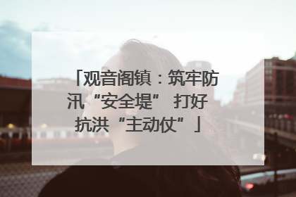 观音阁镇：筑牢防汛“安全堤” 打好抗洪“主动仗”