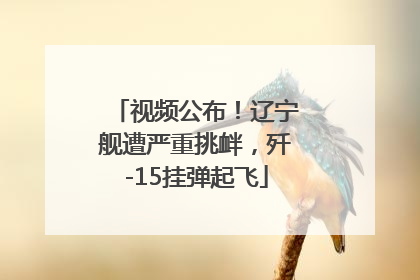 视频公布！辽宁舰遭严重挑衅，歼-15挂弹起飞