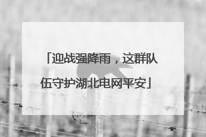迎战强降雨，这群队伍守护湖北电网平安