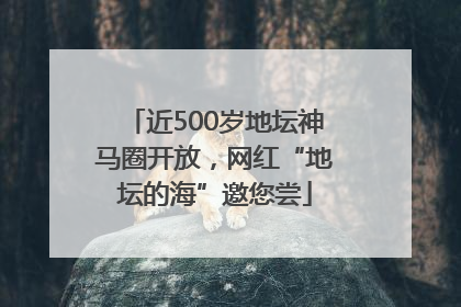 近500岁地坛神马圈开放，网红“地坛的海”邀您尝