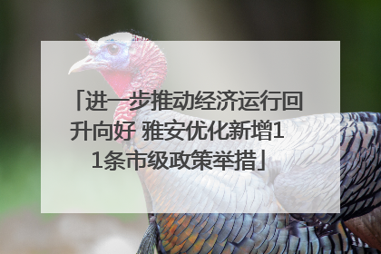 进一步推动经济运行回升向好 雅安优化新增11条市级政策举措