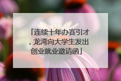 连续十年办赛引才，龙湾向大学生发出创业就业邀请函