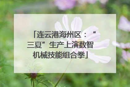 连云港海州区：“三夏”生产上演数智机械技能组合拳