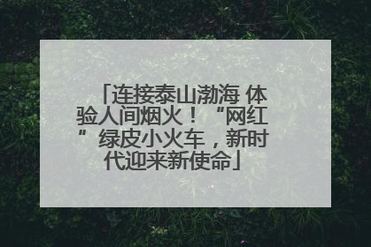 连接泰山渤海 体验人间烟火！“网红”绿皮小火车，新时代迎来新使命