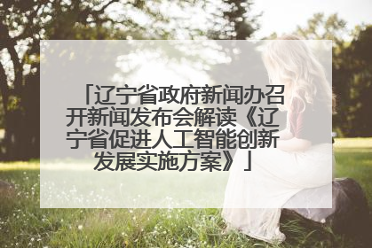 辽宁省政府新闻办召开新闻发布会解读《辽宁省促进人工智能创新发展实施方案》