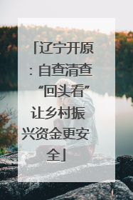 辽宁开原：自查清查“回头看” 让乡村振兴资金更安全