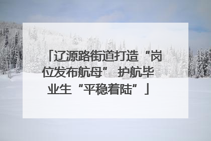 辽源路街道打造“岗位发布航母” 护航毕业生“平稳着陆”