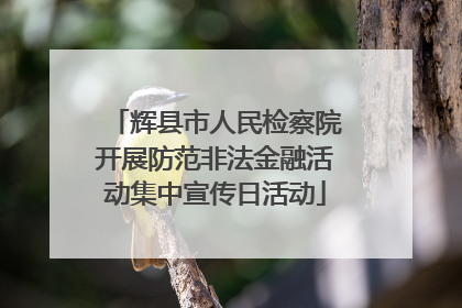 辉县市人民检察院开展防范非法金融活动集中宣传日活动