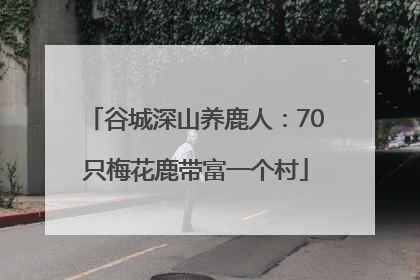 谷城深山养鹿人：70只梅花鹿带富一个村