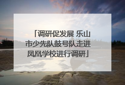 调研促发展 乐山市少先队鼓号队走进凤凰学校进行调研