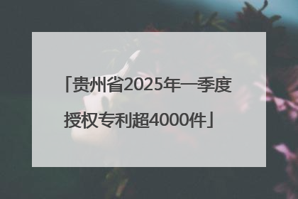 贵州省2025年一季度授权专利超4000件