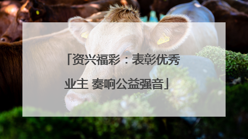 资兴福彩：表彰优秀业主 奏响公益强音