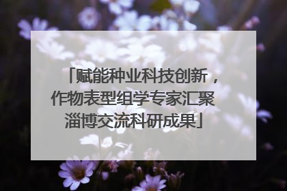 赋能种业科技创新，作物表型组学专家汇聚淄博交流科研成果