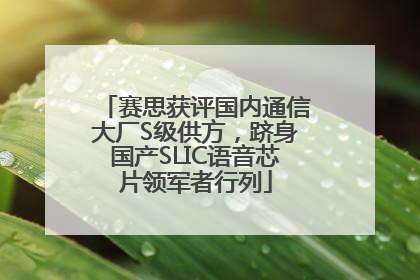 赛思获评国内通信大厂S级供方，跻身国产SLIC语音芯片领军者行列
