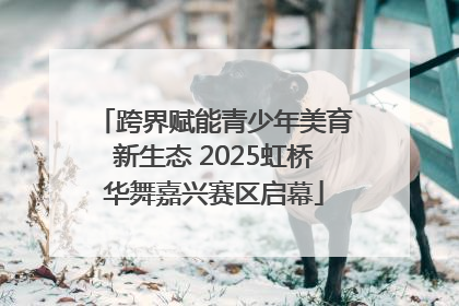 跨界赋能青少年美育新生态 2025虹桥华舞嘉兴赛区启幕