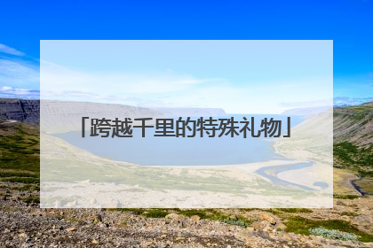 跨越千里的特殊礼物