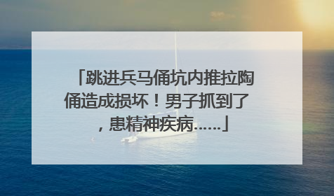 跳进兵马俑坑内推拉陶俑造成损坏！男子抓到了，患精神疾病……