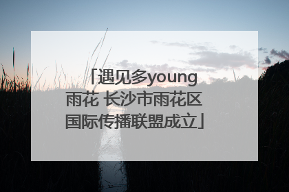 遇见多young雨花 长沙市雨花区国际传播联盟成立