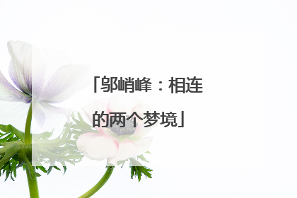 邬峭峰：相连的两个梦境
