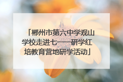 郴州市第六中学观山学校走进七一一研学红培教育营地研学活动