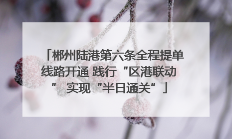 郴州陆港第六条全程提单线路开通 践行“区港联动” 实现“半日通关”