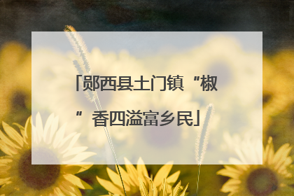 郧西县土门镇“椒”香四溢富乡民