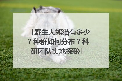 野生大熊猫有多少？种群如何分布？科研团队实地探秘