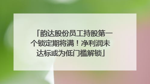 韵达股份员工持股第一个锁定期将满！净利润未达标或为低门槛解锁