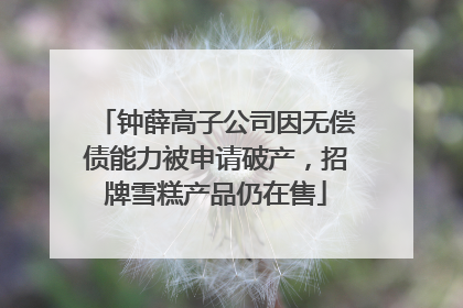 钟薛高子公司因无偿债能力被申请破产，招牌雪糕产品仍在售