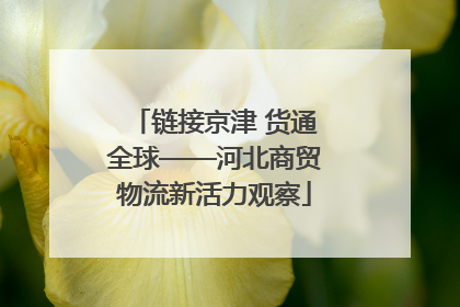 链接京津 货通全球——河北商贸物流新活力观察