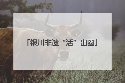 银川非遗“活”出圈