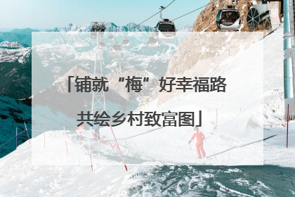 铺就“梅”好幸福路 共绘乡村致富图