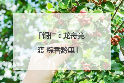 铜仁：龙舟竞渡 粽香黔里