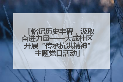 铭记历史丰碑，汲取奋进力量——大成社区开展“传承抗洪精神”主题党日活动