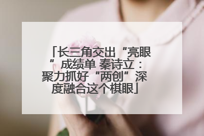 长三角交出“亮眼”成绩单 秦诗立：聚力抓好“两创”深度融合这个棋眼