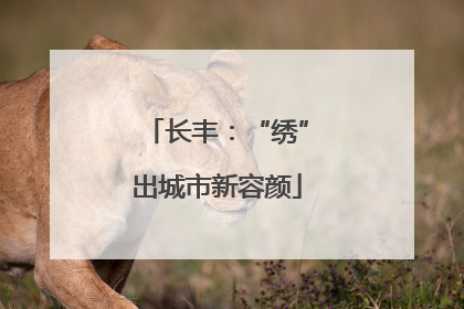 长丰：“绣”出城市新容颜