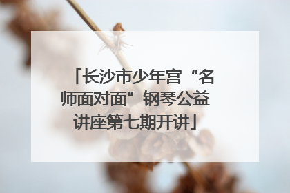 长沙市少年宫“名师面对面”钢琴公益讲座第七期开讲