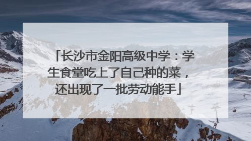 长沙市金阳高级中学：学生食堂吃上了自己种的菜，还出现了一批劳动能手