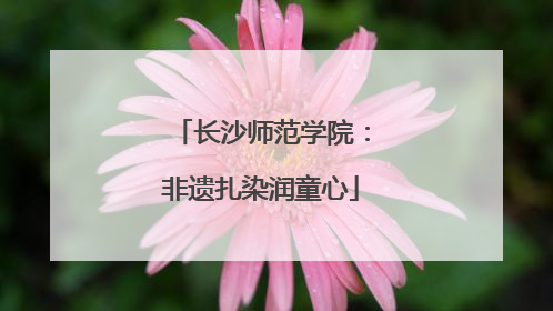 长沙师范学院：非遗扎染润童心