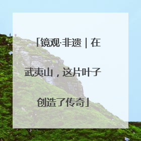 镜观·非遗｜在武夷山，这片叶子创造了传奇