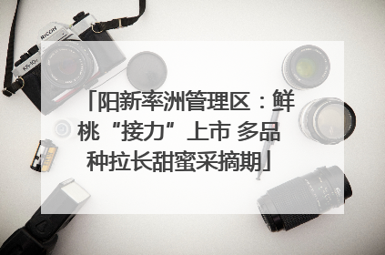 阳新率洲管理区：鲜桃“接力”上市 多品种拉长甜蜜采摘期