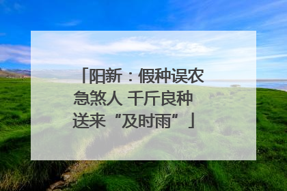 阳新：假种误农急煞人 千斤良种送来“及时雨”