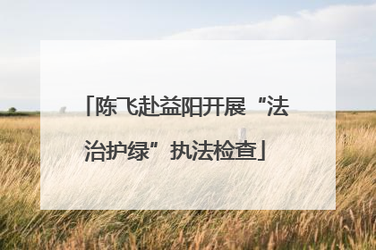 陈飞赴益阳开展“法治护绿”执法检查