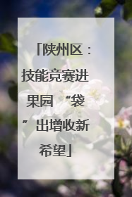 陕州区：技能竞赛进果园 “袋”出增收新希望