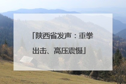 陕西省发声：重拳出击、高压震慑