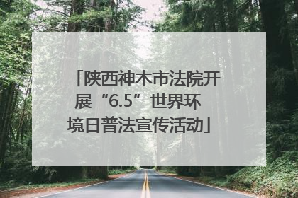 陕西神木市法院开展“6.5”世界环境日普法宣传活动