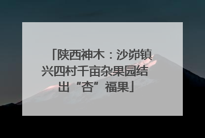 陕西神木：沙峁镇兴四村千亩杂果园结出“杏”福果